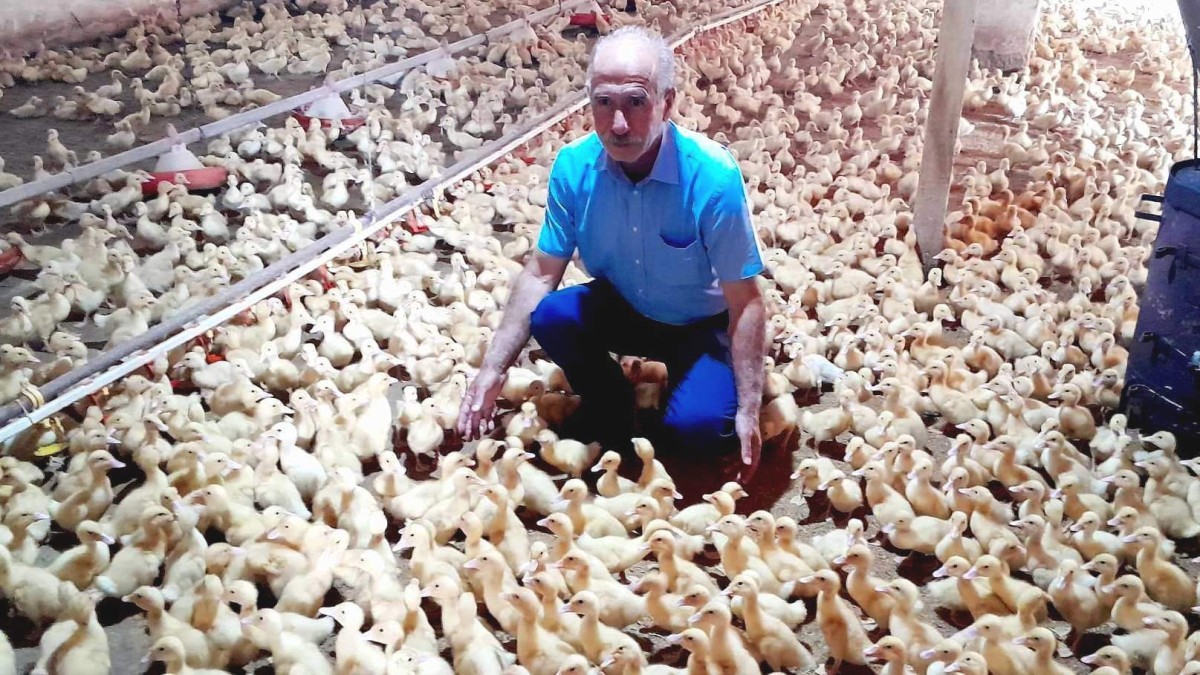 BİR KOLTUKTA 2 KARPUZ HEM SİYASET HEM ÜRETİM  