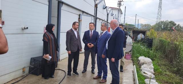 Akyazı Kaymakamı Eşki’den May Mantar Fabrikasına ziyaret  