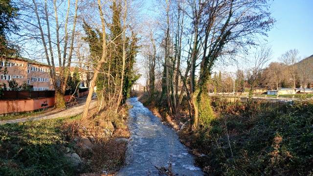 Ağaçlar budansın ve bakımları yapılsın  