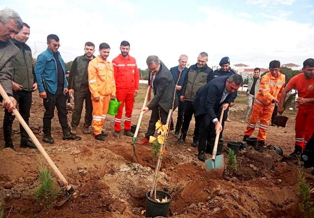 AKYAZI’DA 11 KASIM MİLLİ AĞAÇLANDIRNA GÜNÜ KUTLANDI