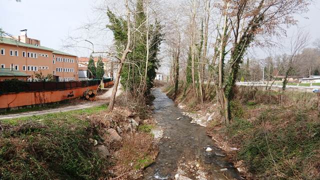 Onlar kestiler tehlikeden kurtuldular 