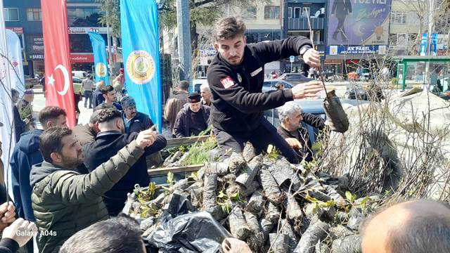 AKYAZI’DA  AĞAÇ BAYRAMI NEDENİYLE 2 BİN FİDAN HALKA DAĞITILDI 