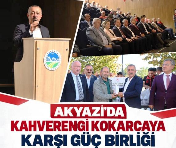 Kahverengi Kokarcaya karşı güç birliği  